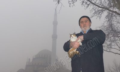 MİNAREDE MAHSUR KALAN KEDİYİ DİN GÖREVLİSİ KURTARDI