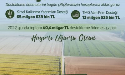 TARIMSAL DESTEKLER ÇİFTÇİ HESAPLARINA AKTARILDI