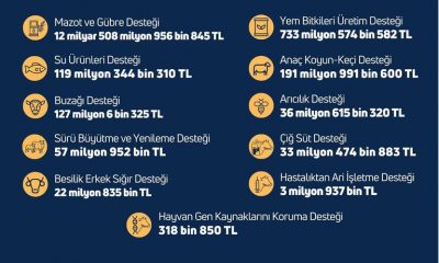 ÇİFTÇİLERE 13.8 MİLYAR LİRALIK DESTEK ÖDEMESİ YAPILIYOR