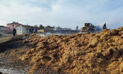 SULUOVA AŞAĞI KARASU KÖYÜNDE 100 TONA YAKIN SAMAN YANDI