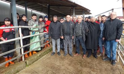 SULUOVALI BESİCİ ÜRETİCİLERİ DEPREMZEDELER İÇİN HAYVAN BAĞIŞINDA BULUNDU