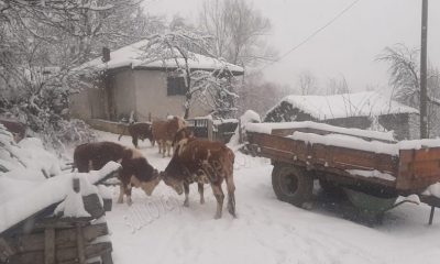 YILIN İLK KAR YAĞIŞI YÜKSEK RAKIMLI SULUOVA SOKU KÖYÜNDE ETKİLİ OLDU.