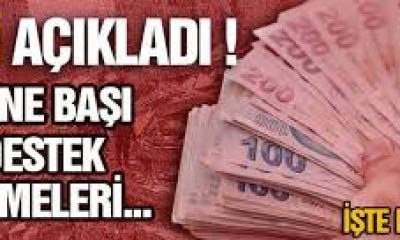 HANE BAŞI DESTEK ÖDEMESİ HAKKINDA BASIN DUYURUSU