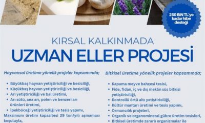 UZMAN ELLER PROJESİ MÜRAACATLARI BAŞLADI