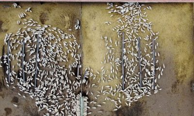 UZULARIN ANNELERİYLE BULUŞMALARI DRON İLE GÖRÜNTÜLENDİ-