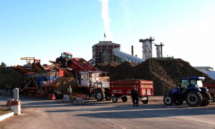 ŞEKER FABRİKASINDAN ÇİFTÇİLERE ÇAPA VE ŞEKER AVANSI 11 MAYIS’TA DAĞITIMI BAŞLIYOR
