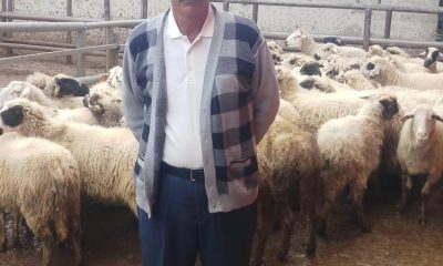 SULUOVALI DUYARLI BESİCİ HASTALANAN HAYVANLARINI İLÇE TARIM MÜDÜRLÜĞÜNE TESLİM ETTİ