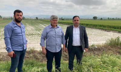 DOLU YAĞIŞI EKİLİ ALANLARDA HASARA YOL AÇTI.