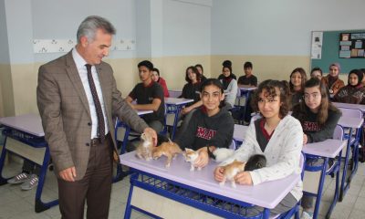 SÜTLAÇ VE 7 YAVRUSU OKULUN MASKOTU OLDU