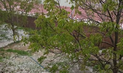 SAĞANAK YAĞIŞ VE DOLU EKİLİ ALANLARDA HASAR OLUŞTURDU