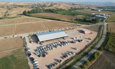 SULUOVA BELEDİYESİ CANLI HAYVAN PAZARI AÇILIYOR