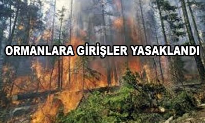 ORMANLARA GİRİŞLER YASAKLANDI