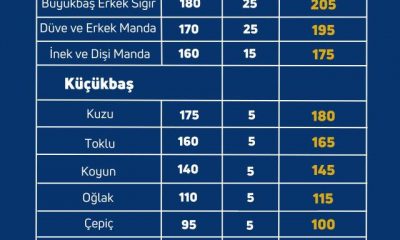 SATILMAYAN KURBANLIKLARI ET VE SÜT KURUMU ALACAK!