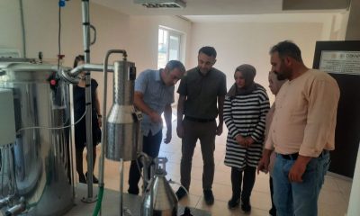 SULUOVA MYO İLK LAVANTA YAĞINI ÜRETTİ