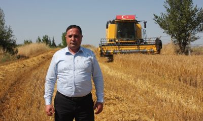 YAĞIŞLAR SULUOVA’DA BUĞDAY VE ARPA REKOLTESİNİ ARTIRDI- ÖZEL HABER