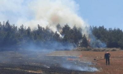 SULUOVA ERARSLAN KÖYÜNDE YANGIN, 15 DÖNÜM ALAN ZARAR GÖRDÜ