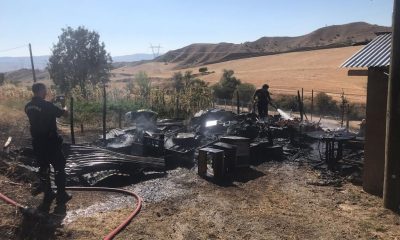 SULUOVA AKÖREN KÖY YOLUNDA YANGIN; 20 ARI KOVANI KÜL OLDU, 1 KİŞİ YARALANDI.