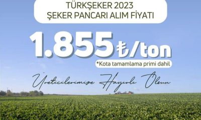 BAKAN YUMAKLI, ŞEKER PANCARI ALIM FİYATINI AÇIKLADI