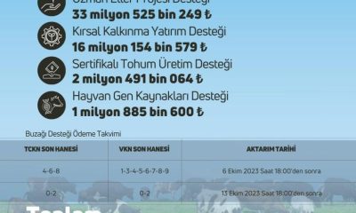 DESTEKLEME ÖDEMELERİ ÇİFTÇİLERİN HESABINA YATIRILIYOR