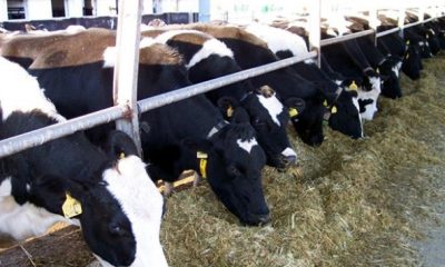 BAŞVURULARINIZI YAPMAYI UNUTMAYIN !