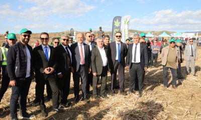 SULUOVA’DA ENDÜSTRİYEL KENEVİR NARLI TOHUM HASADI YAPILDI.