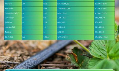 AMASYA’DA SULAMAYA 16 MİLYON TL DESTEK