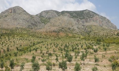 AMASYA OBM 2023 YILINDA 152 MİLYON 829 BİN TL’LİK YATIRIM GERÇEKLEŞTİRDİ