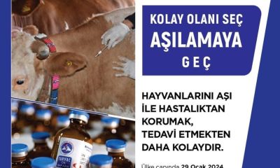 ŞAP HASTALIĞINA KARŞI AŞI 3 DOZA ÇIKARILDI VE ÜÇRETSİZ.