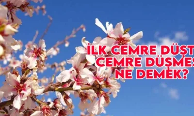 BAHARIN MÜJDECİSİ İLK CEMRE HAVAYA DÜŞTÜ