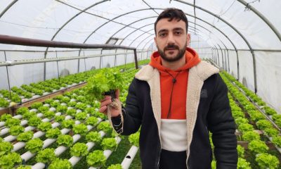 GENÇ GİRİŞİMÇİ SULUOVA’DAKİ İLK TOPRAKSIZ TARIMLA MARUL YETİŞTİRİYOR