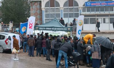 SULUOVA’DA ÜÇRETSİZ 1000 ADET FİDAN DAĞITILDI