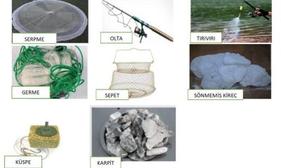 GÖL VE GÖLETLERDE TİCARİ AMAÇLI BALIK AVLAMAK YASAK !