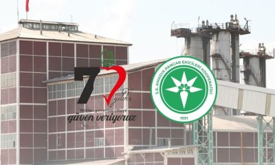 PANCAR BEDELLERİ 8 MART’TA ÖDENİYOR