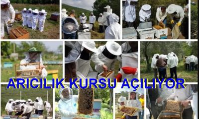 SULUOVA HEM’DEN DUYURU: ARICILIK KURSU AÇILACAK