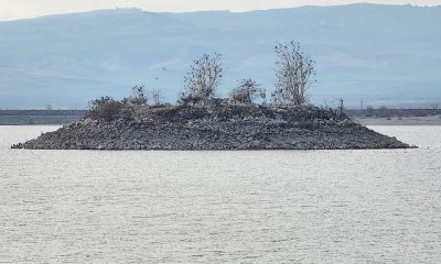 SULUOVA YEDİKUĞULAR KUŞ CENNETİ 250 FARKLI KUŞ TÜRÜNE EV SAHİPLİĞİ YAPIYOR