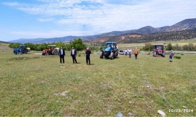 AMASYA MERA ALANLARINDA ÇEKİRGE MÜCADELESİ YAPILDI