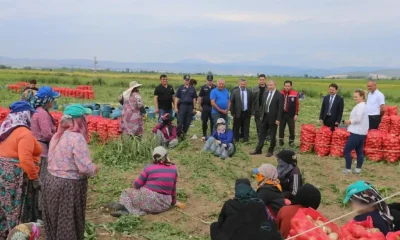 AMASYA’DA ERKENCİ SOĞAN HASADI BAŞLADI