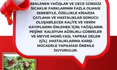 Kiraz Üreticilerimizin Dikkatine !!!