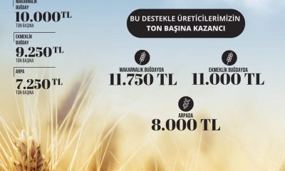 2024 YILI TMO HUBUBAT ALIM FİYATLARI VE FARK ÖDEMESİ DESTEKLERİ AÇIKLANDI