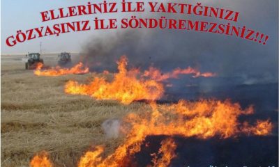 AMASYA GENELİNDE 2023’DE 108 ANIZ YAKILDI