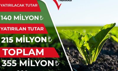 ŞEKER FABRİKASINDAN ÇİFTÇİLERE 3-6 HAZİRAN ARASI 140 MİLYON AVANS ÖDEMESİ YAPILACAK