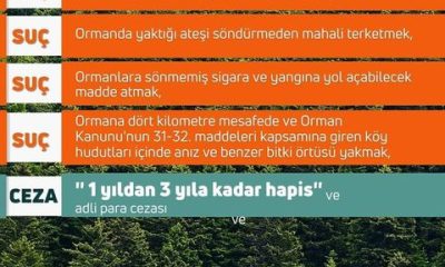 Sıcaklıklar normallerin üzerinde artış gösterdi, DİKKAT