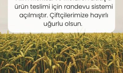 TMO BUĞDAY ÜRÜN TESLİM RANDEVULARI AÇILDI