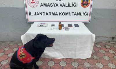 SULUOVA’DA UYUŞTURUCU OPERASYONU