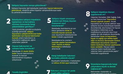 10 SORUDA TBMM’DE KABUL EDİLEN BAŞIBOŞ KÖPEKLERE YÖNELİK DÜZENLEME