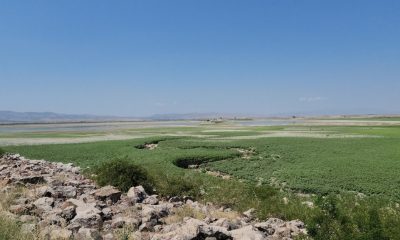 SULUOVA YEDİKIR BARAJINDA SULAR ÇEKİLDİ, ADAYA GİDEN YOL ORTAYA ÇIKTI