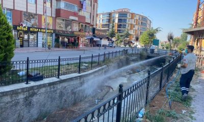 BELEDİYE EKİPLERİ LAVRA İLE MÜCADELEDE SAHADA