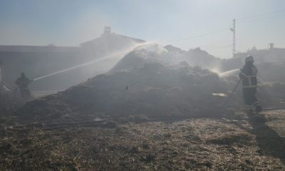 SULUOVA’DA SAMANLIK YANGINI