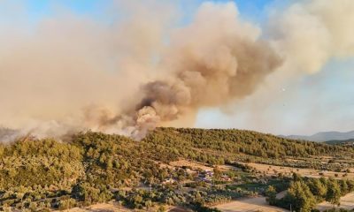AMASYA YANGIN RİSKİNİN EN FAZLA OLDUĞU İLLERDEN BİRİ
