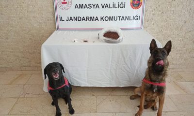 AMASYA’DA JANDARMADAN PEŞ PEŞE BAŞARILI OPERASYON